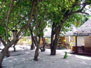  Lohifushi Resort (),  