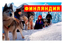 новогодний тур в Финляндию: Новый год в Лапландии