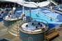 Brilliance of the Seas,  