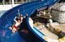   Jewel Seas,  