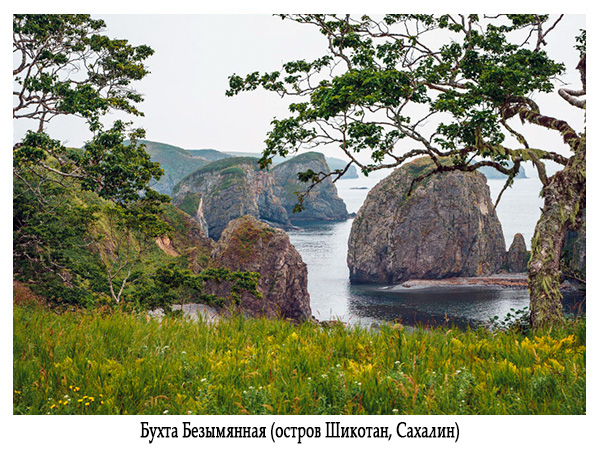 Остров шикотан зимой