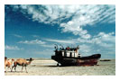 джип-сафари по Узбекистану к Аральскому морю